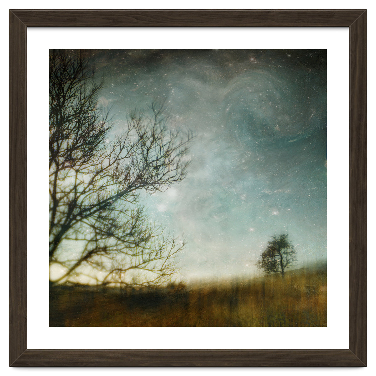 The Tree That Whispered