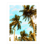 Cali Summer (Print Only) thumbnail