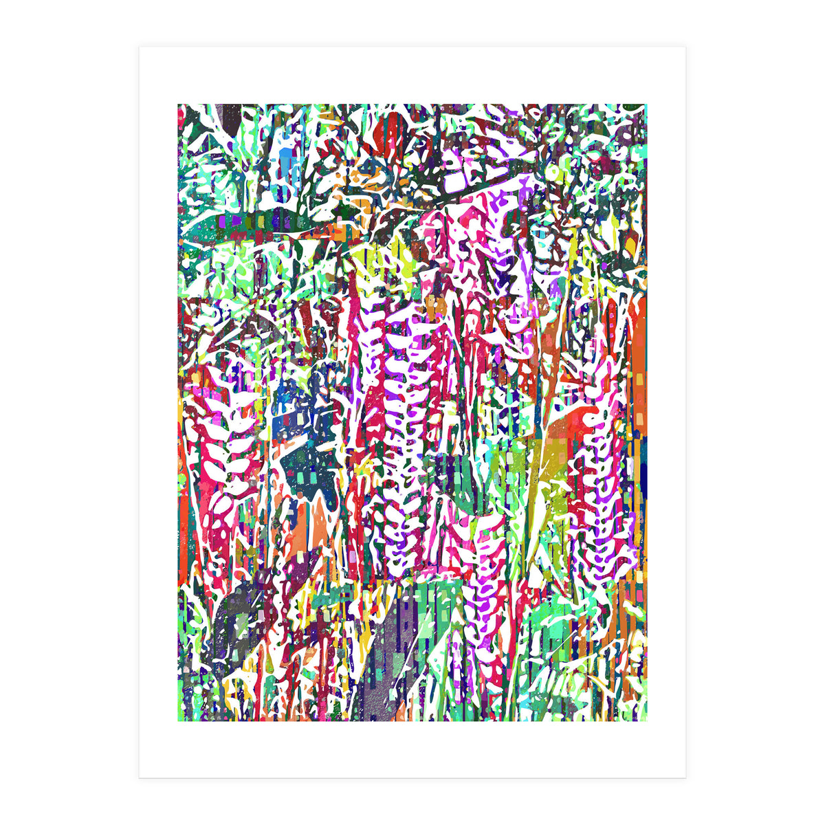 Jungle Mysteries, Colorful Bohemian Rustic Forest, Eclectic Nature Botanical Heliconia Tropical (Print Only)