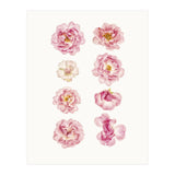 Cc Flower 04 (Print Only) thumbnail