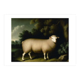 Sheep Classical Oil Painting (Print Only) thumbnail