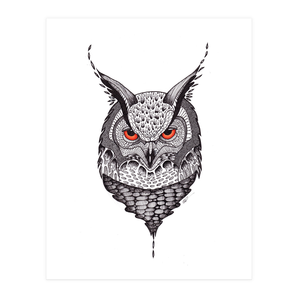 Owl (Print Only)