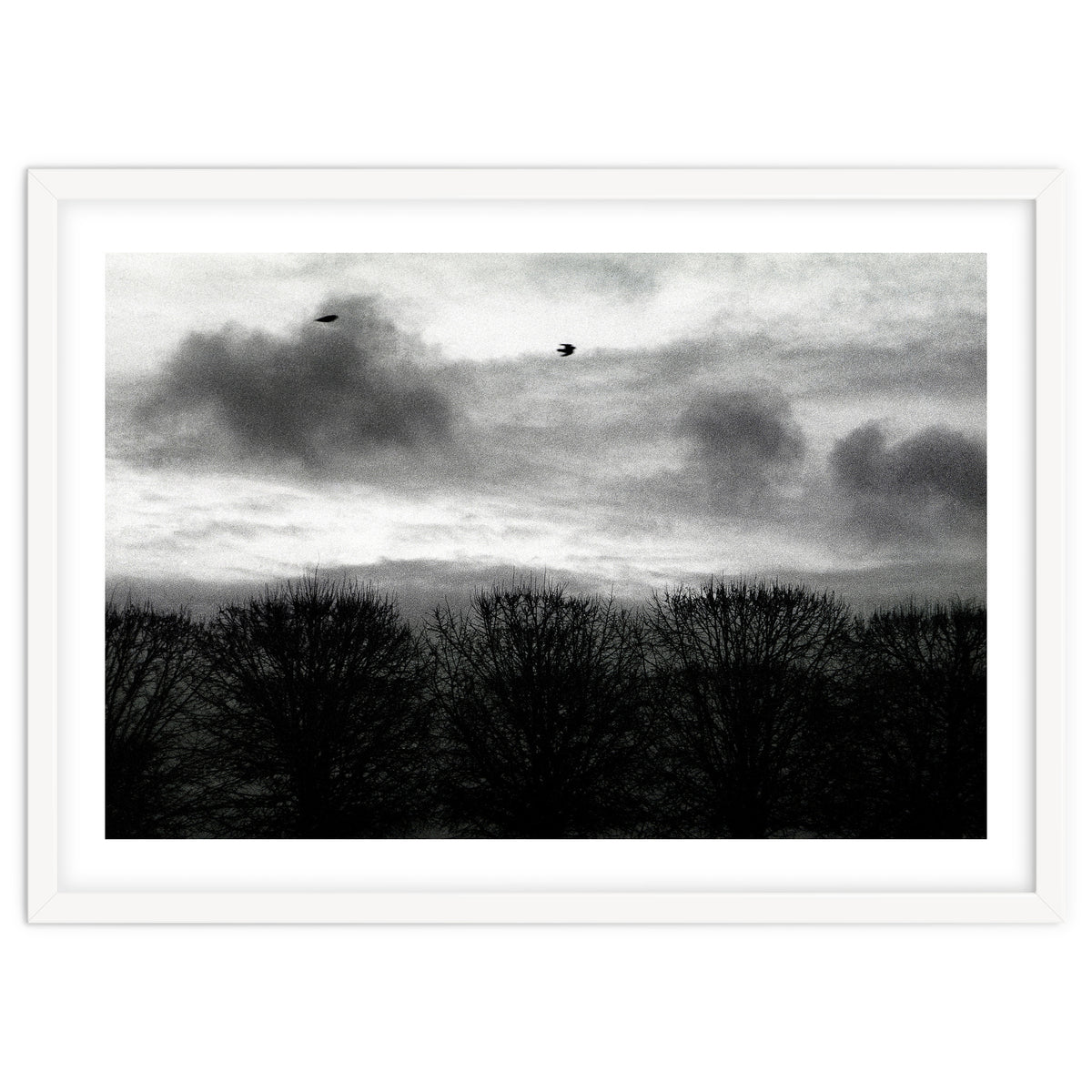 Winter mornig in Paris