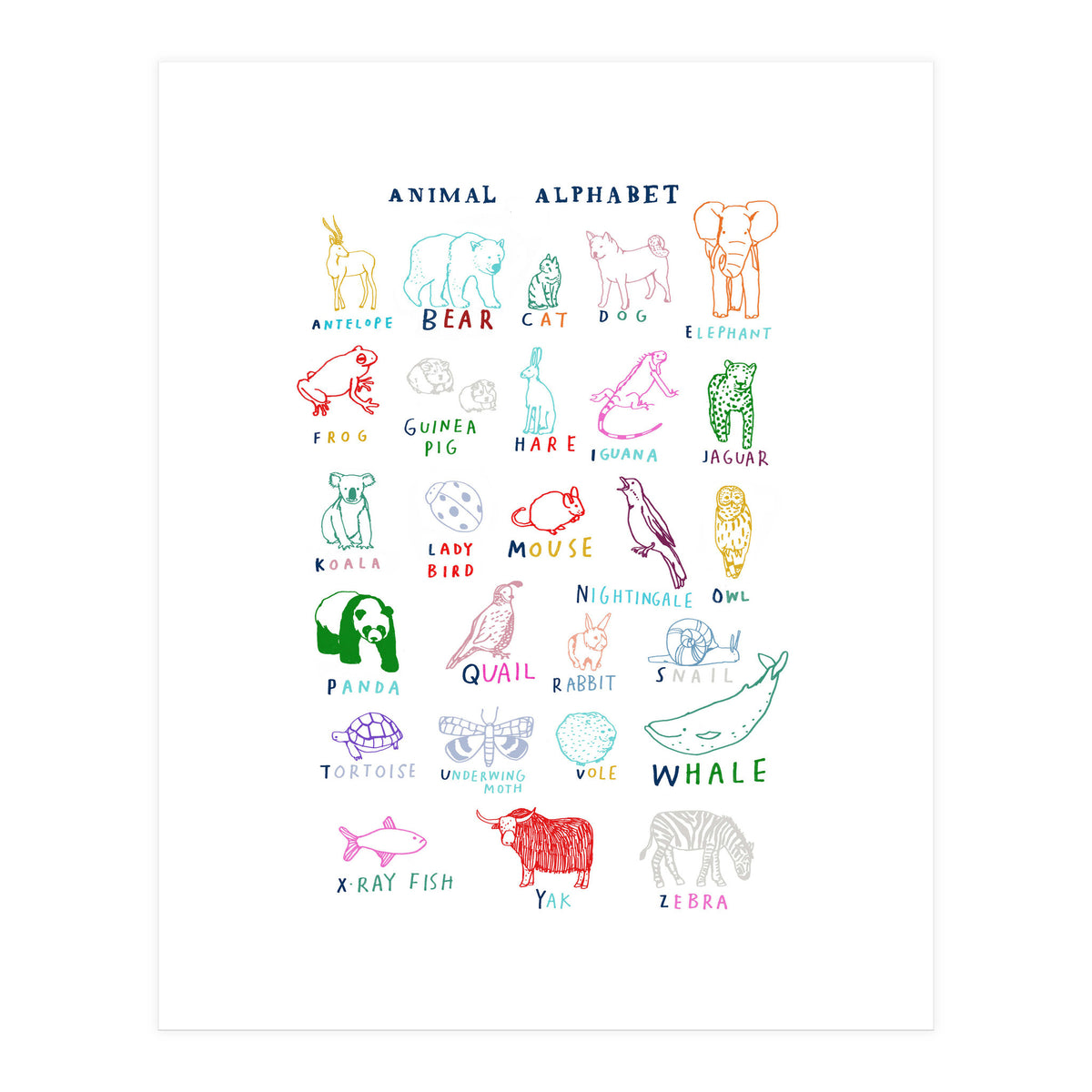 ABC Animals (Print Only)