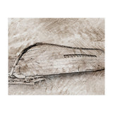 Returning to the Sea (Print Only) thumbnail