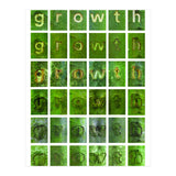 growth (Print Only) thumbnail