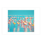 Flamboyance (Print Only) thumbnail