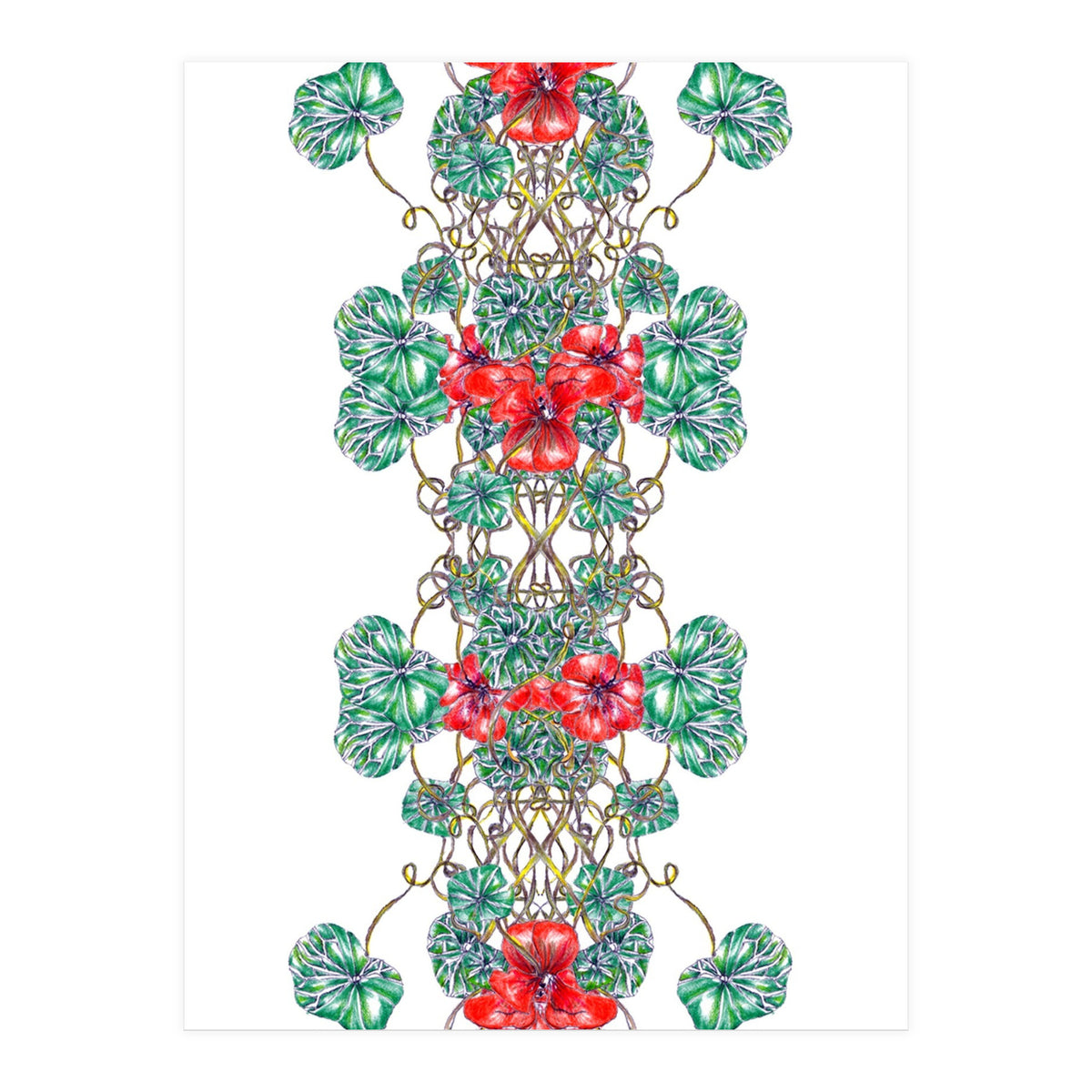 Nasturtiums  (Print Only)