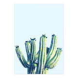 Cactus (Print Only) thumbnail