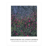 Impatiens Glandulifera (Print Only) thumbnail