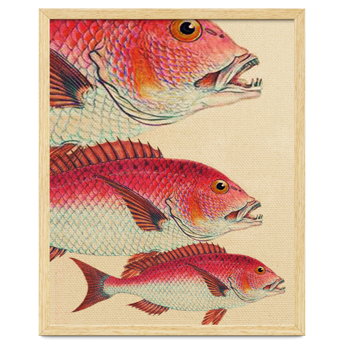 Fish Classic Designs 7