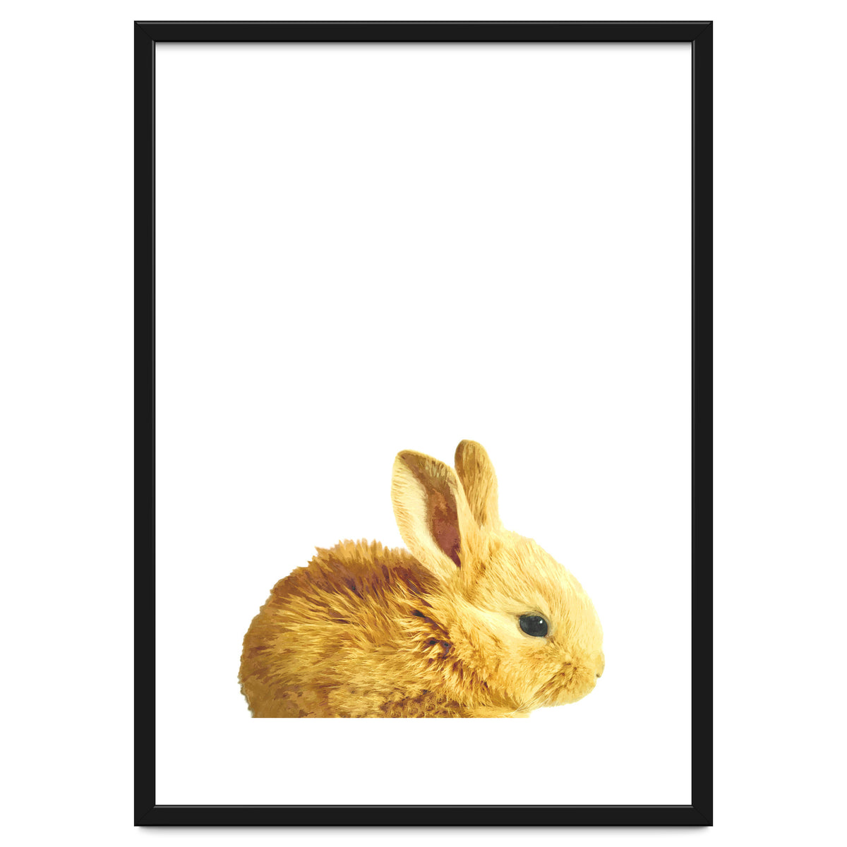 Bunny Portrait