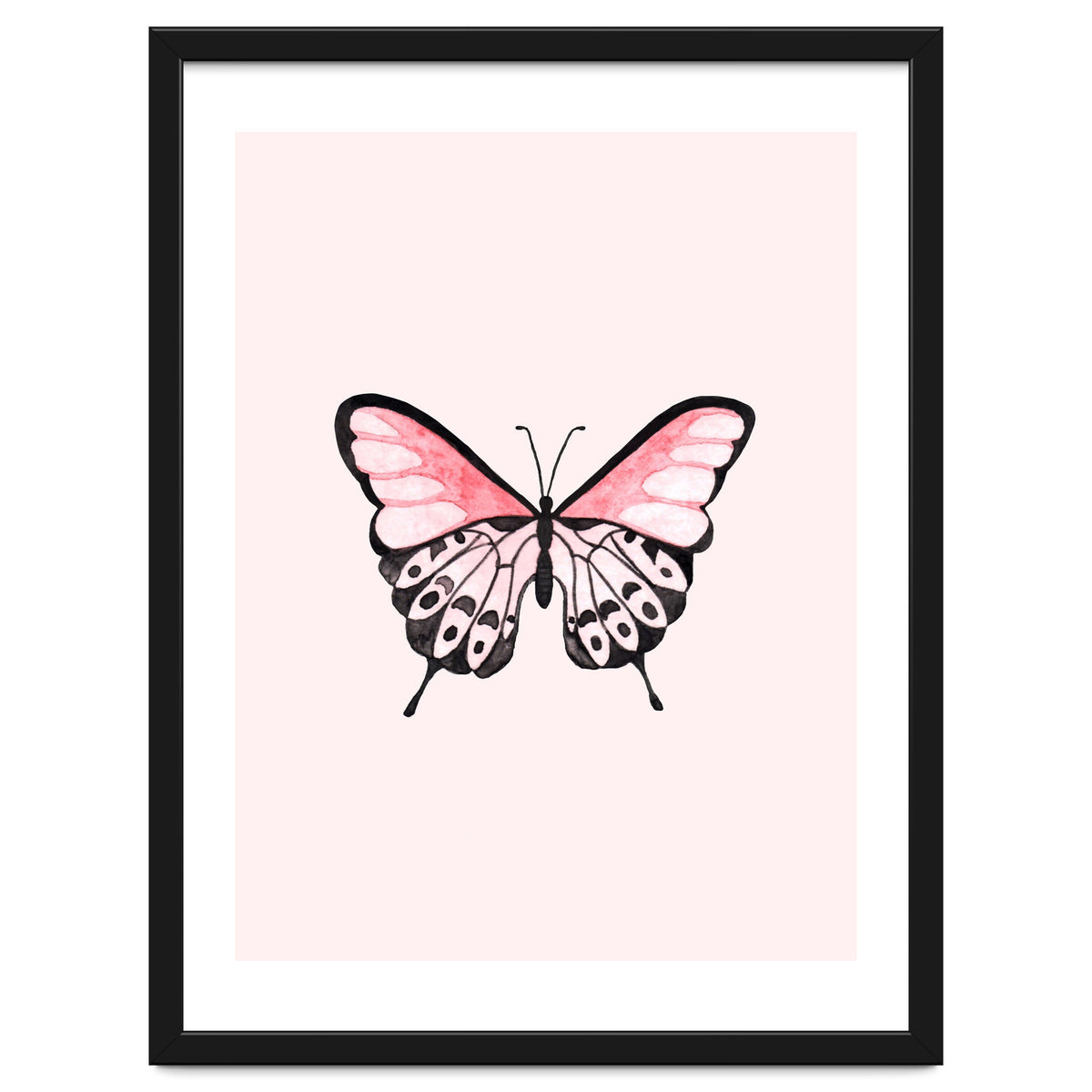 Pink Butterfly