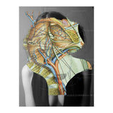 Crazy Woman 210 (Print Only) thumbnail