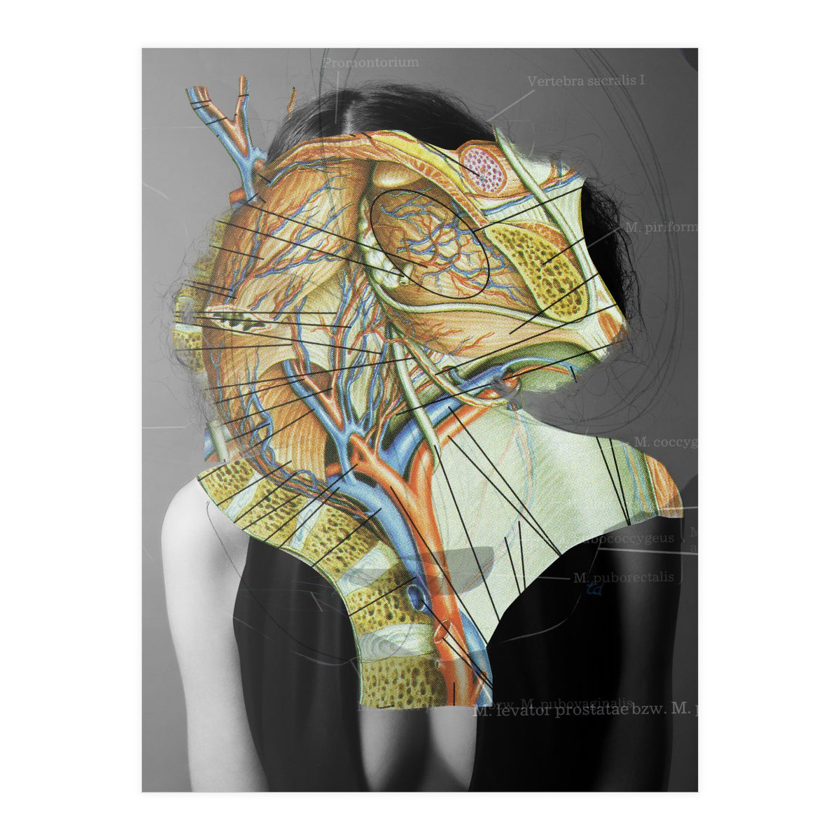 Crazy Woman 210 (Print Only)