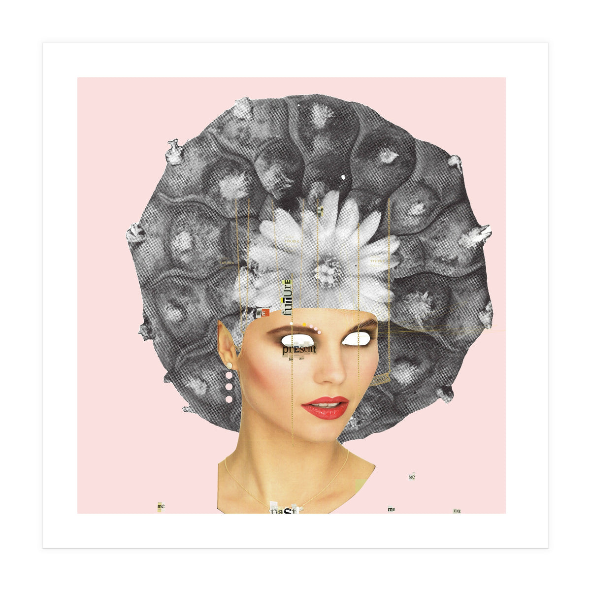 Rosa, Present (Print Only)