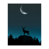 Wild Nature - Nocturne (Print Only) thumbnail