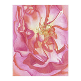 Love Is A Rose (Print Only) thumbnail
