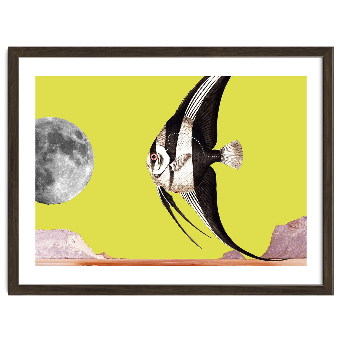 Plenty of fish in the sea yellow