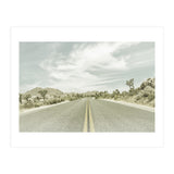 Joshua Trees, Park Boulevard | Vintage (Print Only) thumbnail