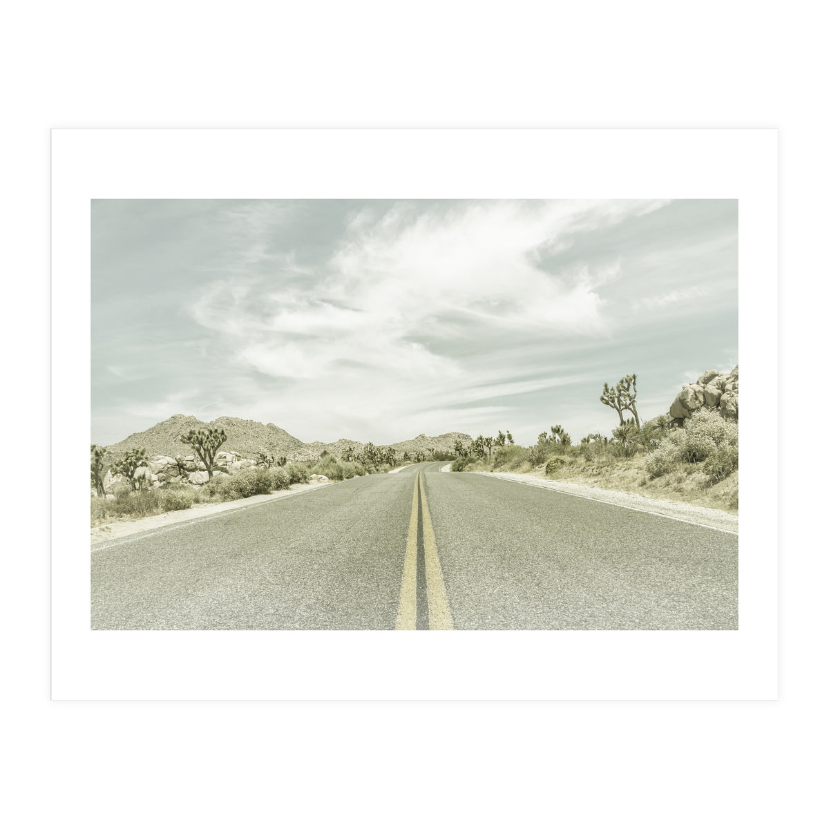 Joshua Trees, Park Boulevard | Vintage (Print Only)