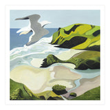 Gull Over Anawhata (Print Only) thumbnail
