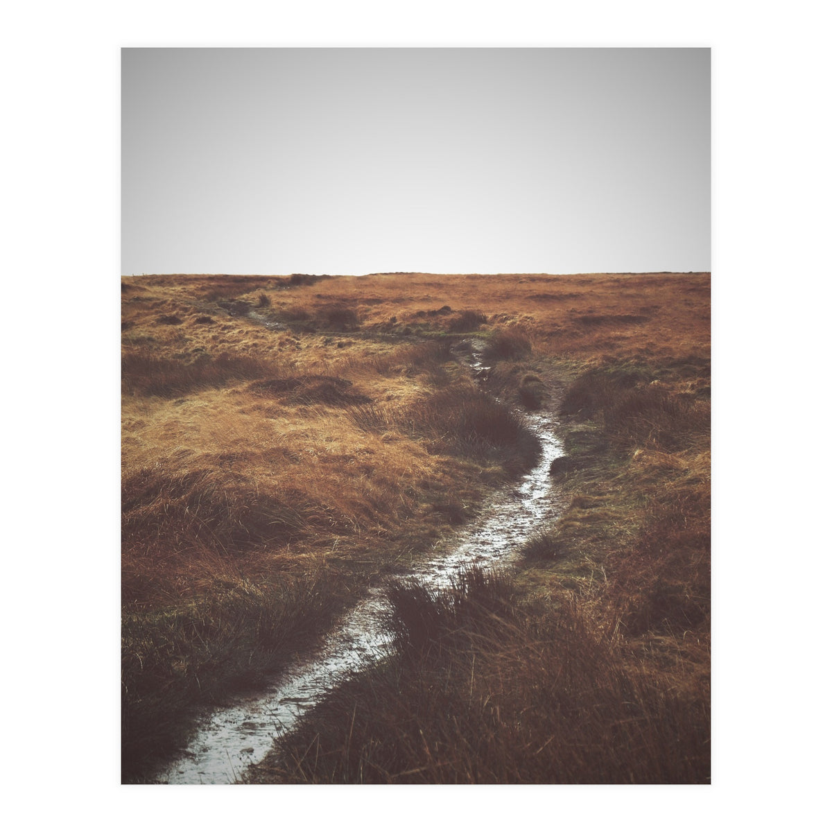 Bleak winter landscape of Saddleworth Moor  (Print Only)