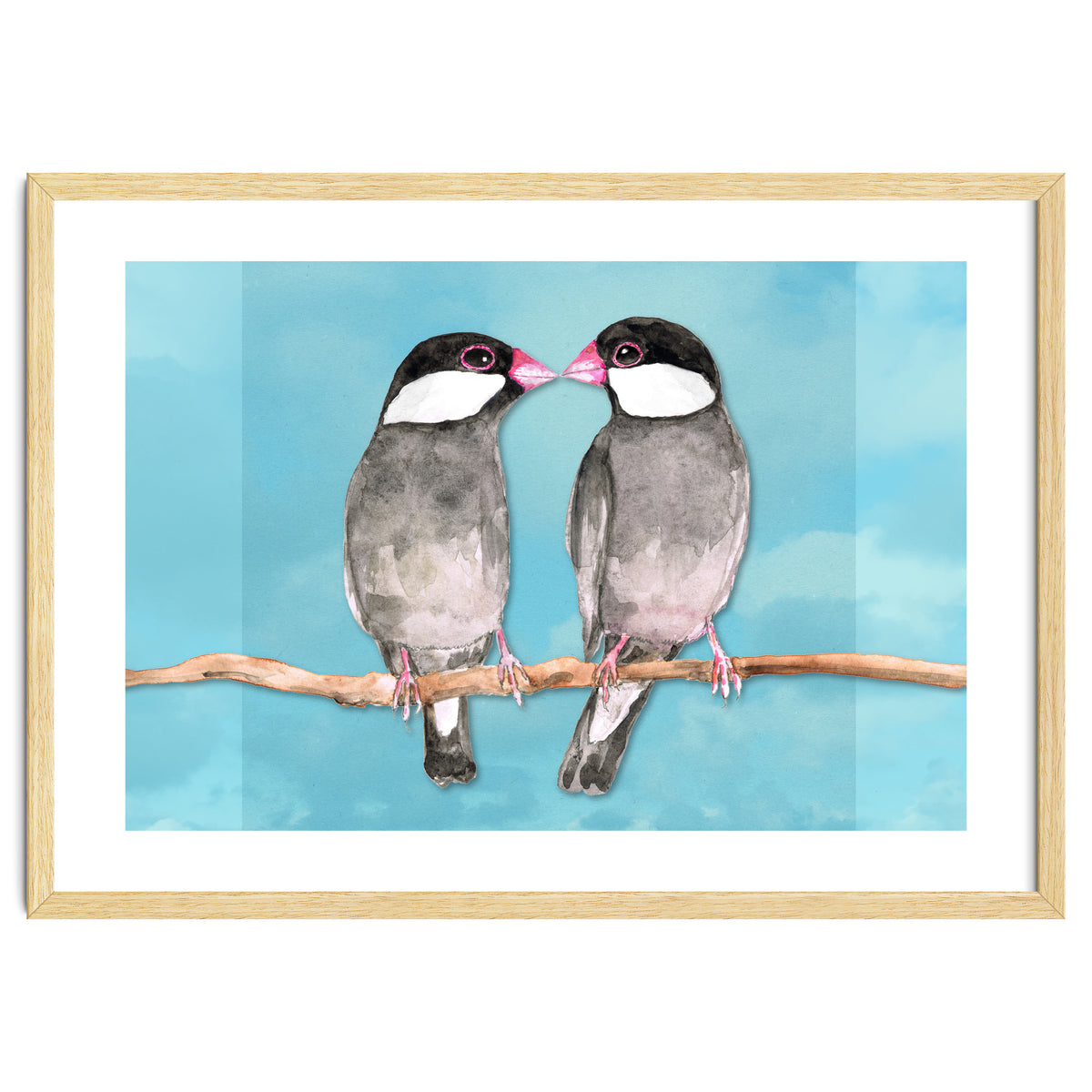 Two kissing Java sparrows