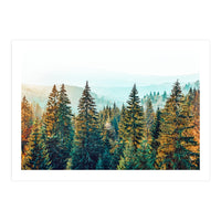 Pine Beauty (Print Only)