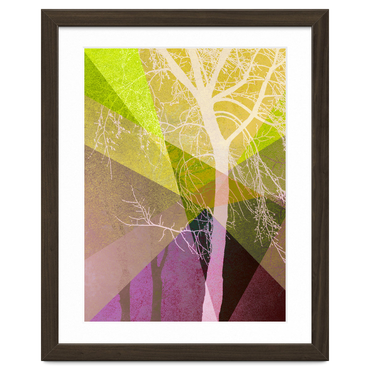 P22 A Trees And Triangles