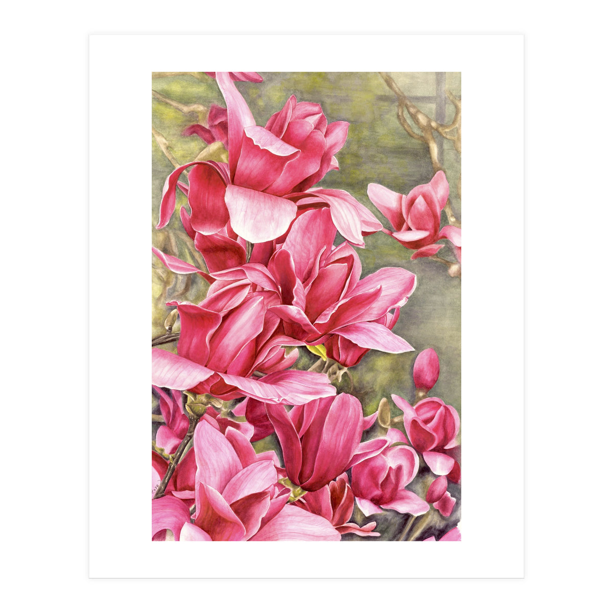Magnolia 5 (Print Only)