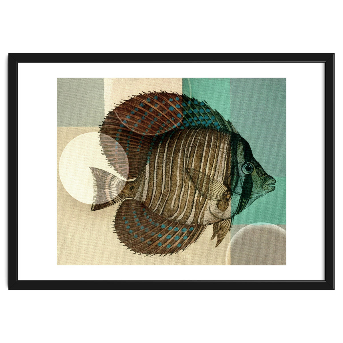 Fish Between Circles 4