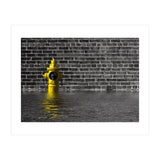 Waterworks No 1 (Print Only) thumbnail