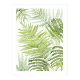 Samambaia  (Print Only) thumbnail