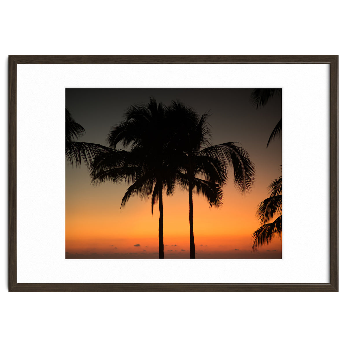 Mexico, November nights