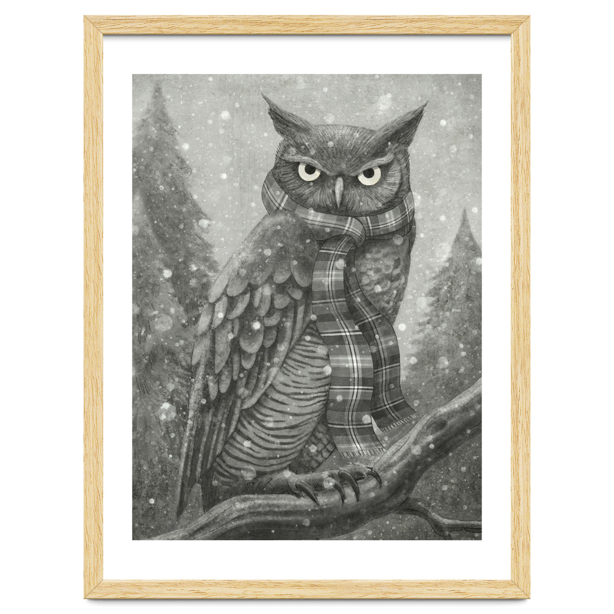 Winter Owl