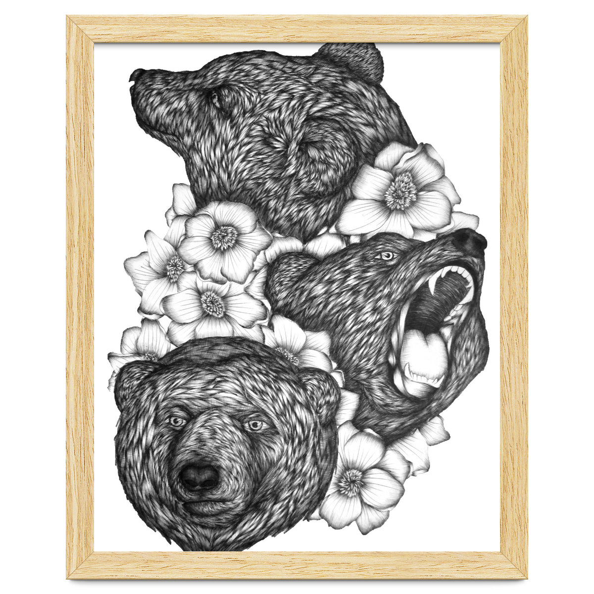 Bears In Bears