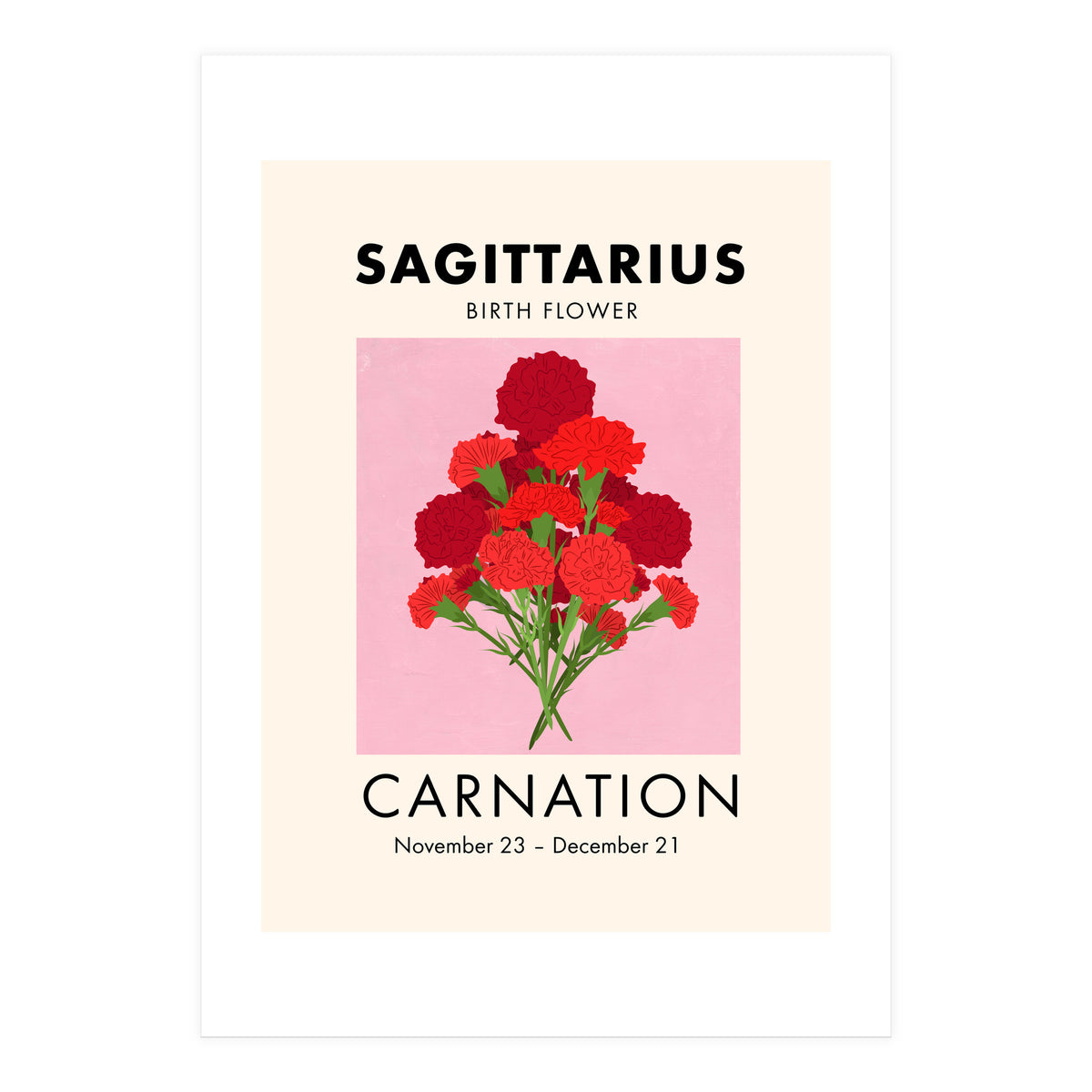 Sagittarius Birth Flower Carnation  (Print Only)