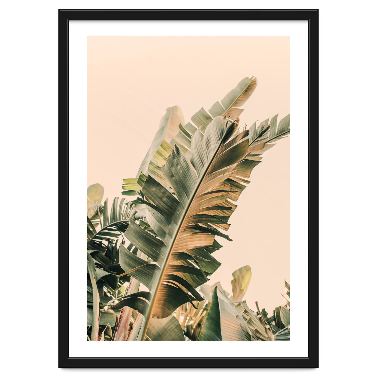 Growing Green Alicia Bock