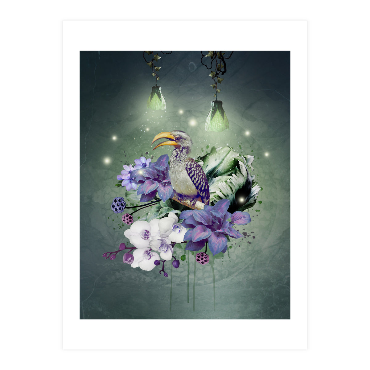 Floral Magic Hornbill  (Print Only)