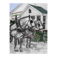 Mackinac Island Horses (Print Only)