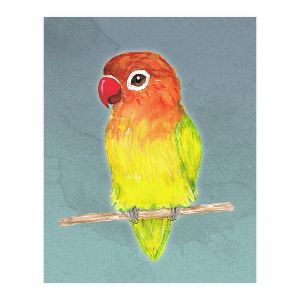 Cute yellow Fischer's lovebird (Print Only)