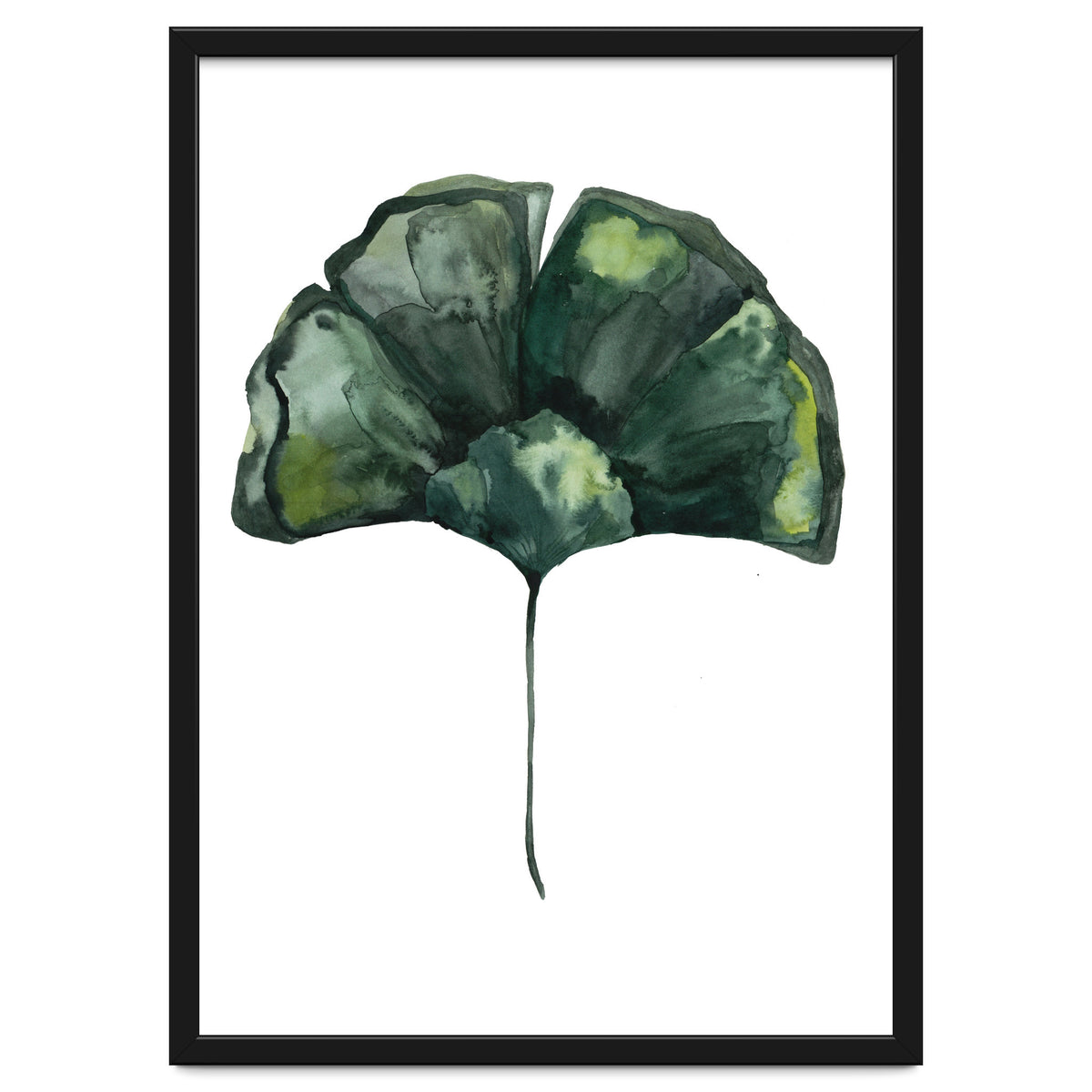 Botanical Illustration Ginko