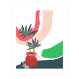 window sill plants (Print Only) thumbnail