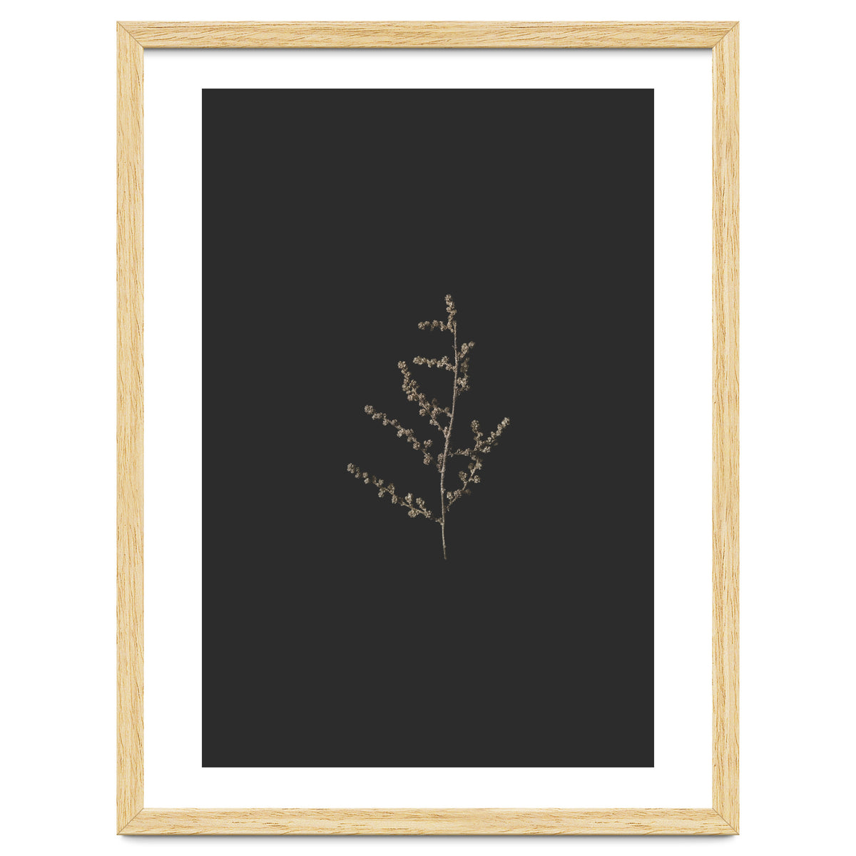 Dainty Botanicals in Gold and Black