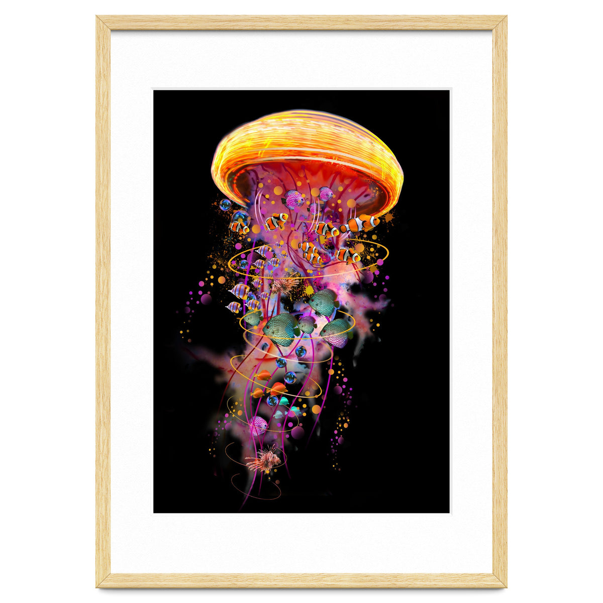 Jelly Fish Ride Summer2018 Dbh