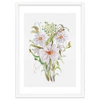 Watercolor White Florals