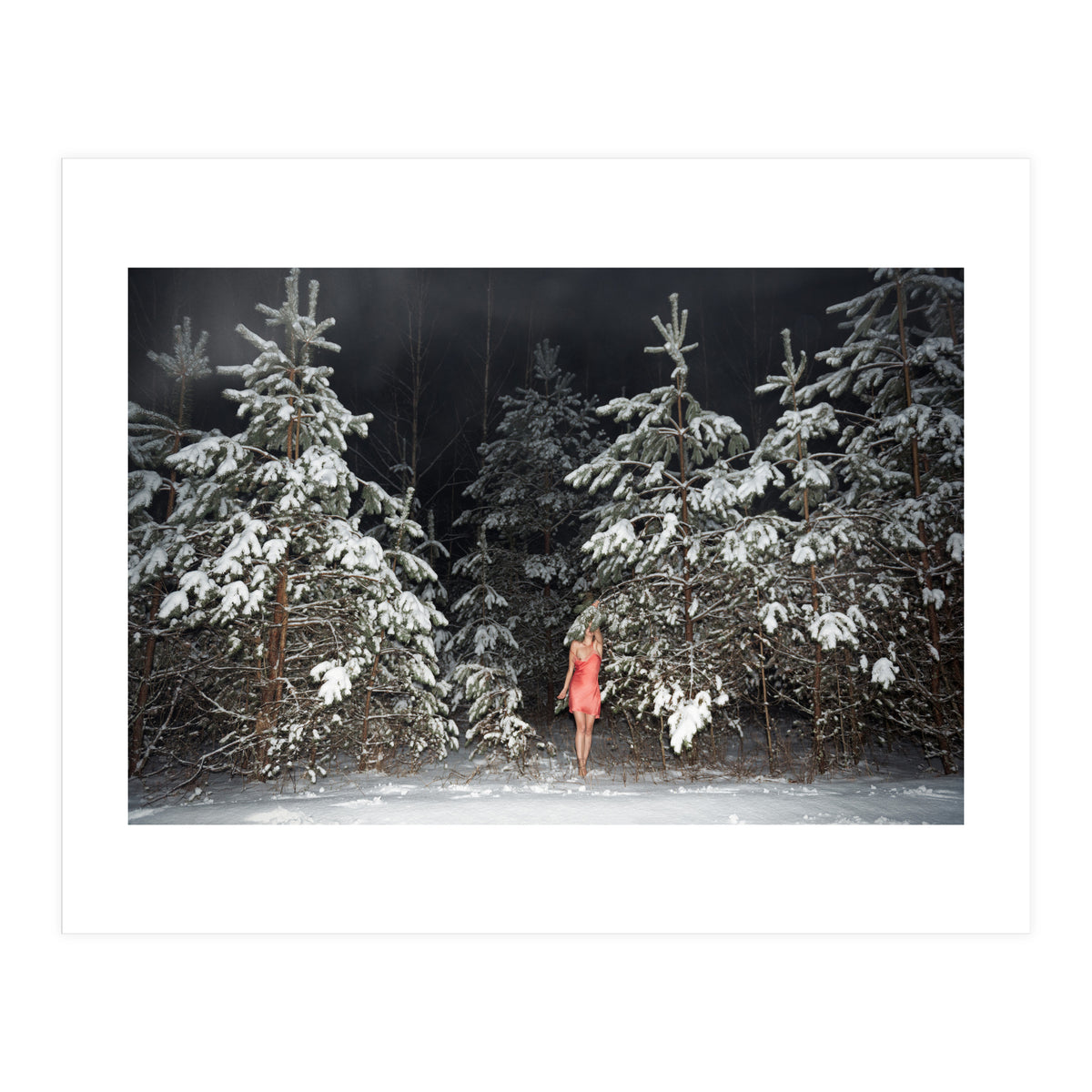 Freezing Frame (Print Only)