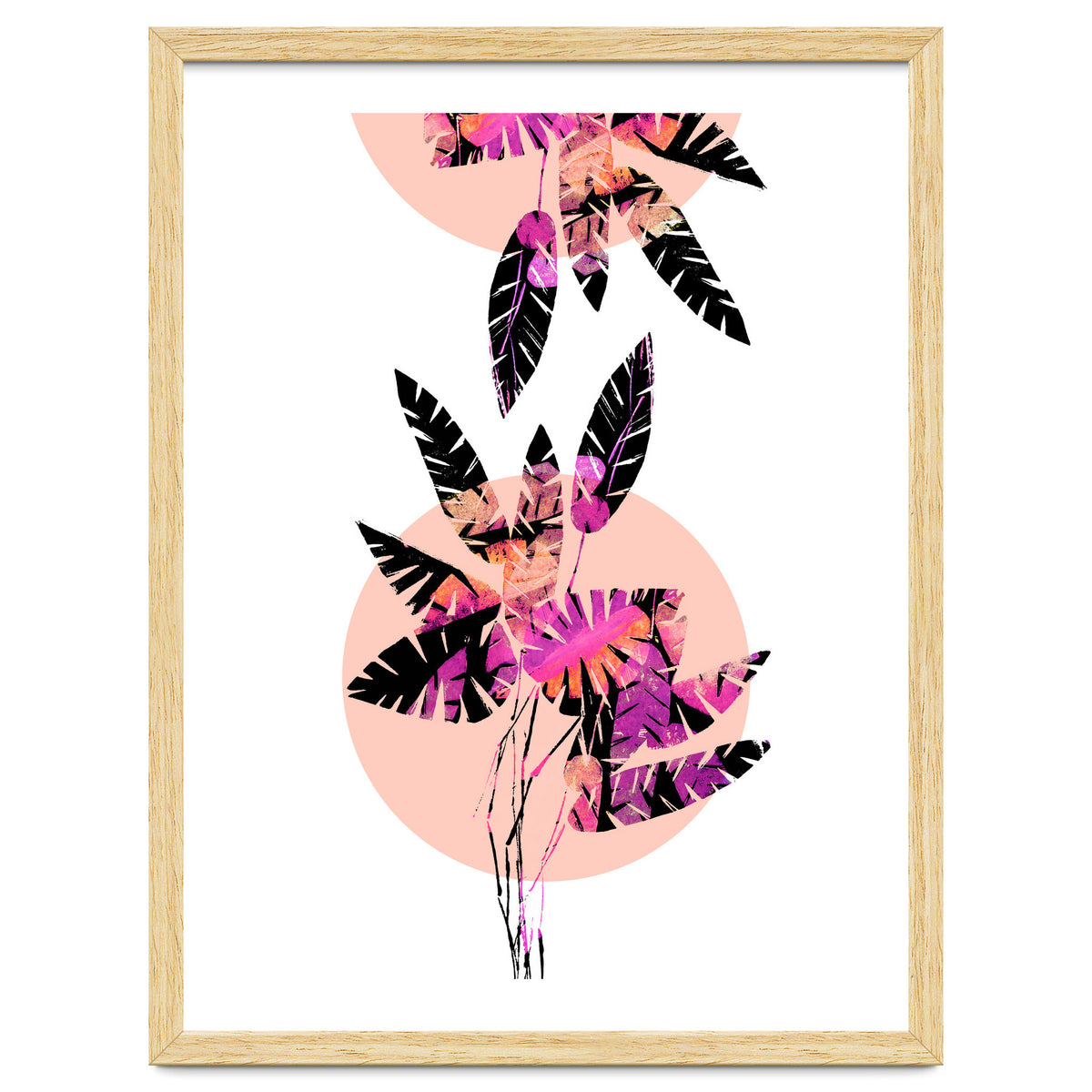 Pink Plants on Coral