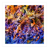 Avalon  (Print Only) thumbnail